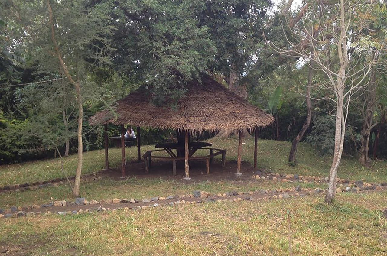 Shamba Hostel Usa River Exterior foto